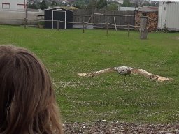 500 Treffen 2017 Tag2